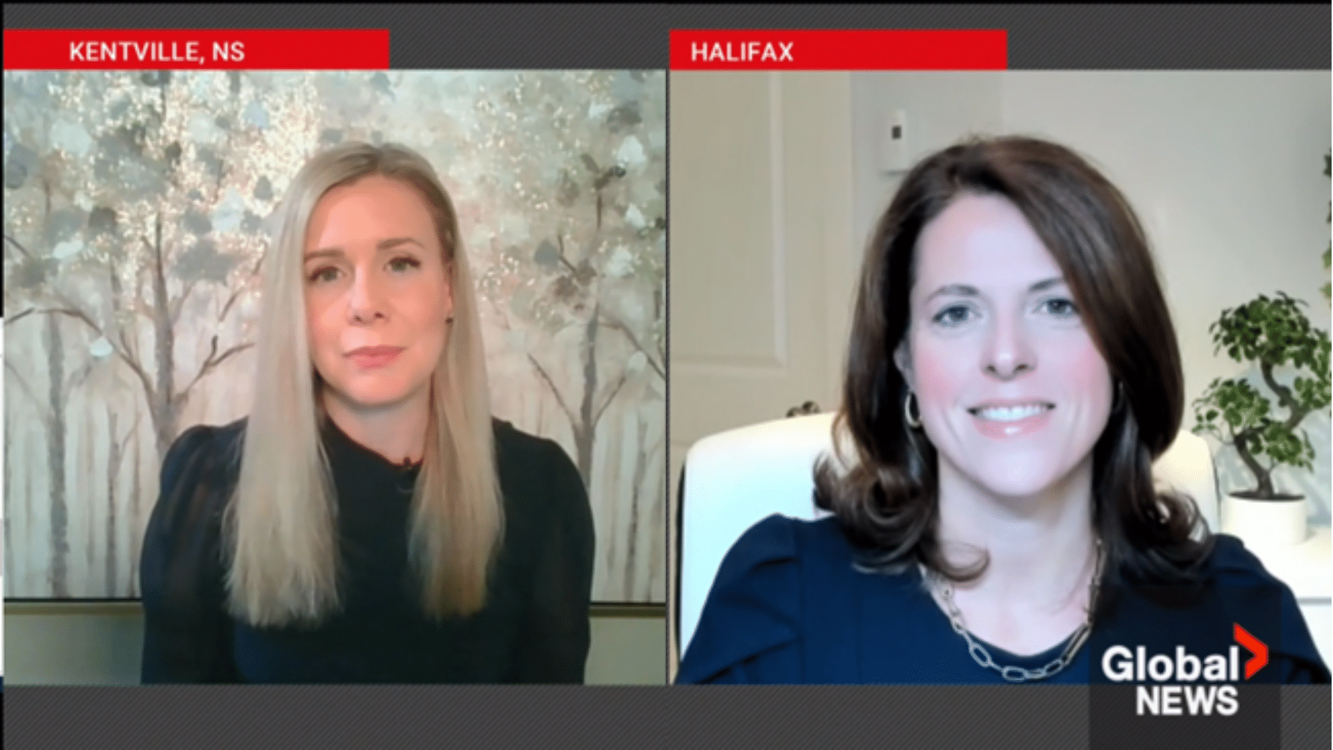 The Impact A NATO Innovation Hub Could Have On Halifax, Startups