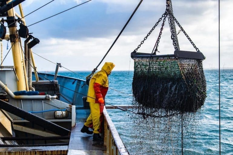Ocean Supercluster tops up 16 projects with $23 million to drive commercialization