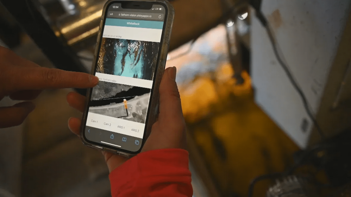 Fish-counting A.I. developed in N.S. could help avert fish kills at hydro dams