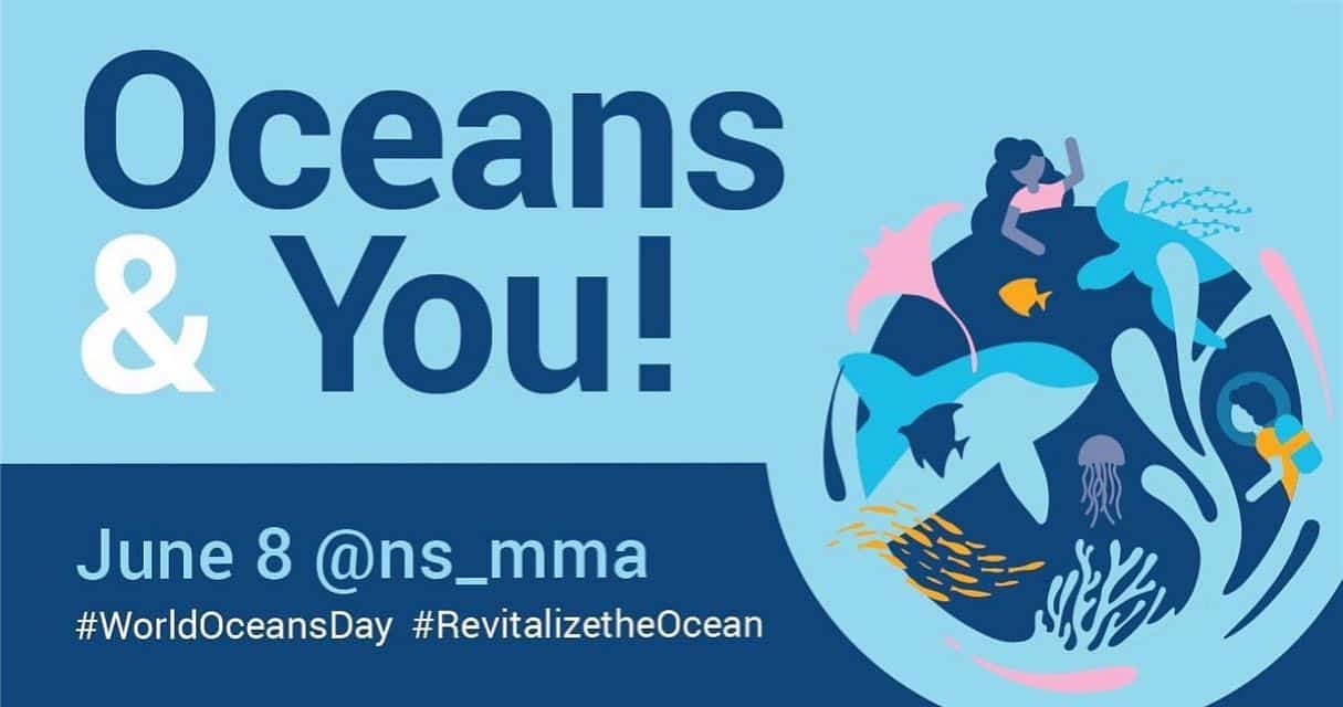 World Oceans Day brings opportunities to educate about the Maritimes’ ecosystem
