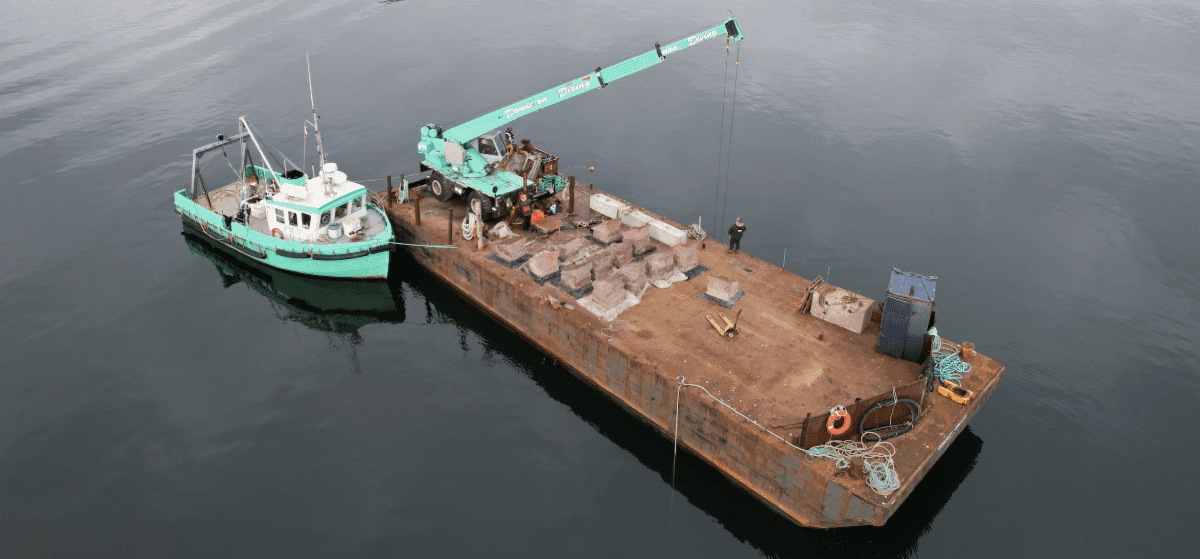 ReefShip to the rescue