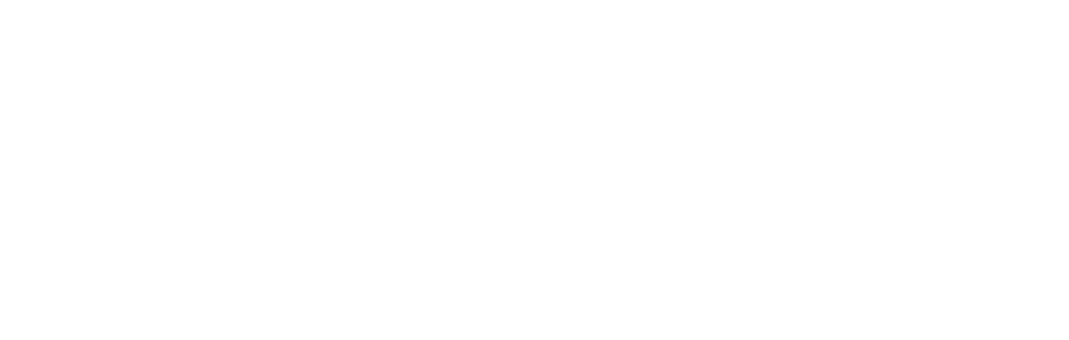 Logo for SEATAC