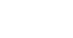 Logo for Norbit