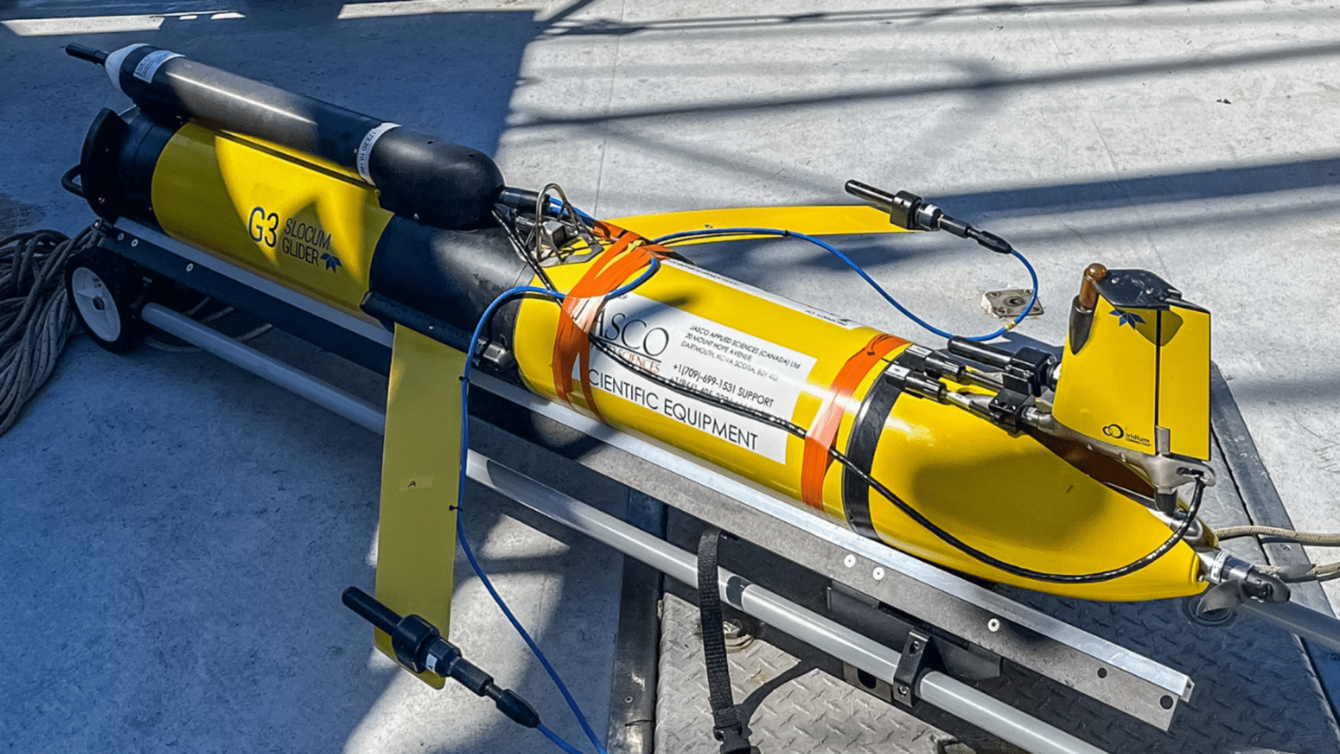 A fleet of Slocum gliders successfully demonstrated the ability to detect and localize marine mammals off the Coast of Nova Scotia